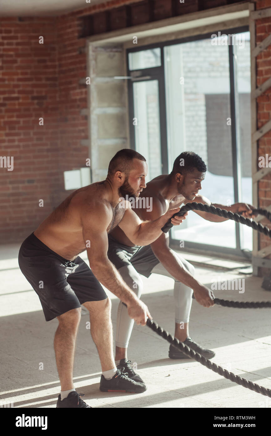 Two muscular multiracial fighters or boxers improve both strength