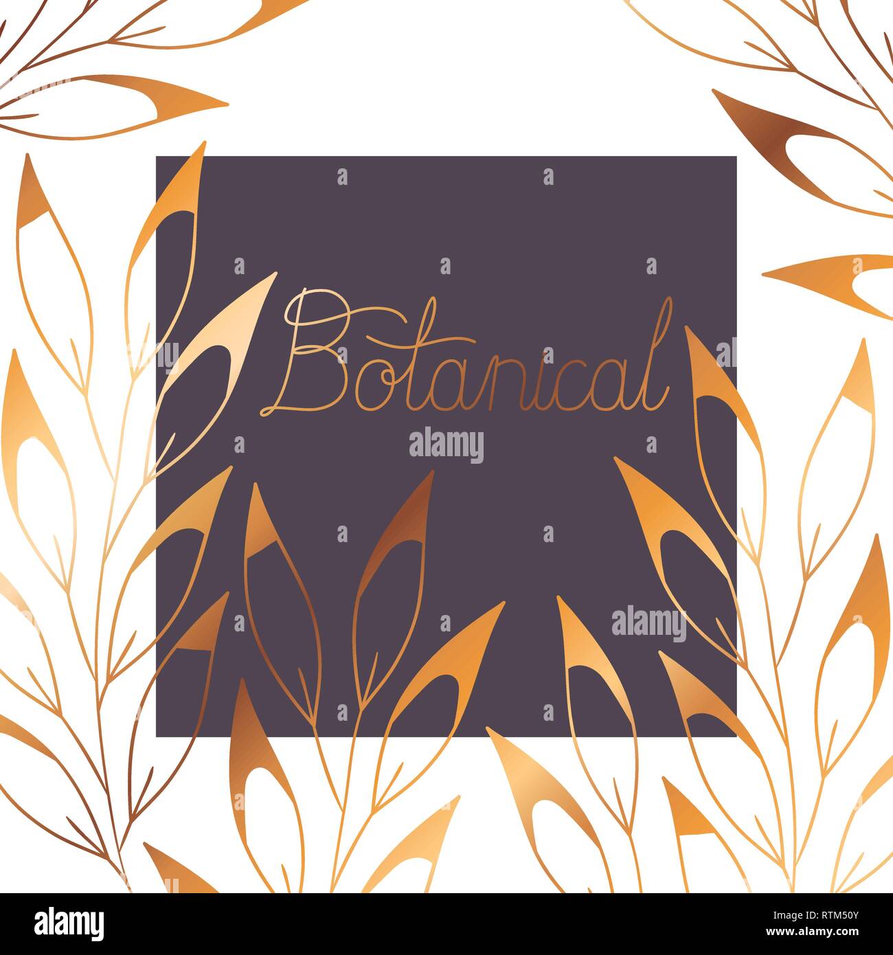 botanical label with plants isolated icon Stock Vector Image & Art - Alamy