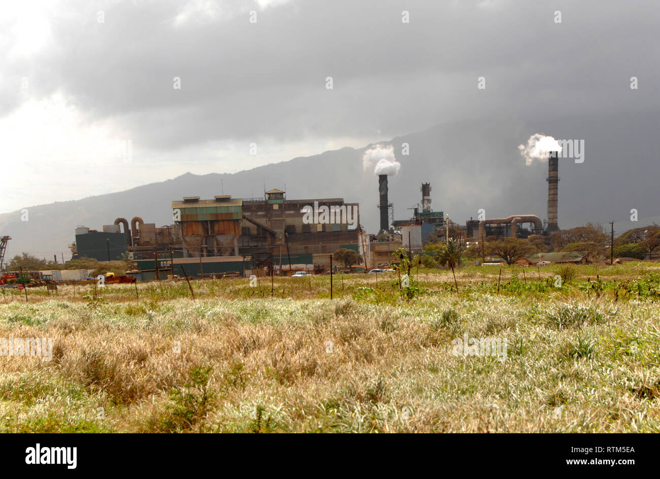 Hawaii sugar plantation workers hires stock photography and images Alamy