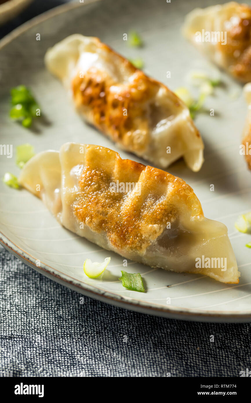 Homemade Korean Mandu Pork Dumplings Ready to Eat Stock Photo Alamy