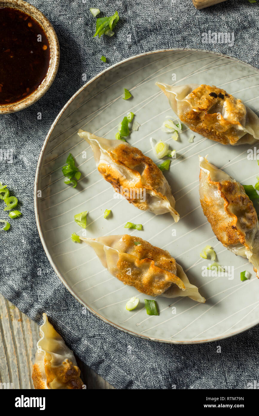 Homemade Korean Mandu Pork Dumplings Ready to Eat Stock Photo Alamy