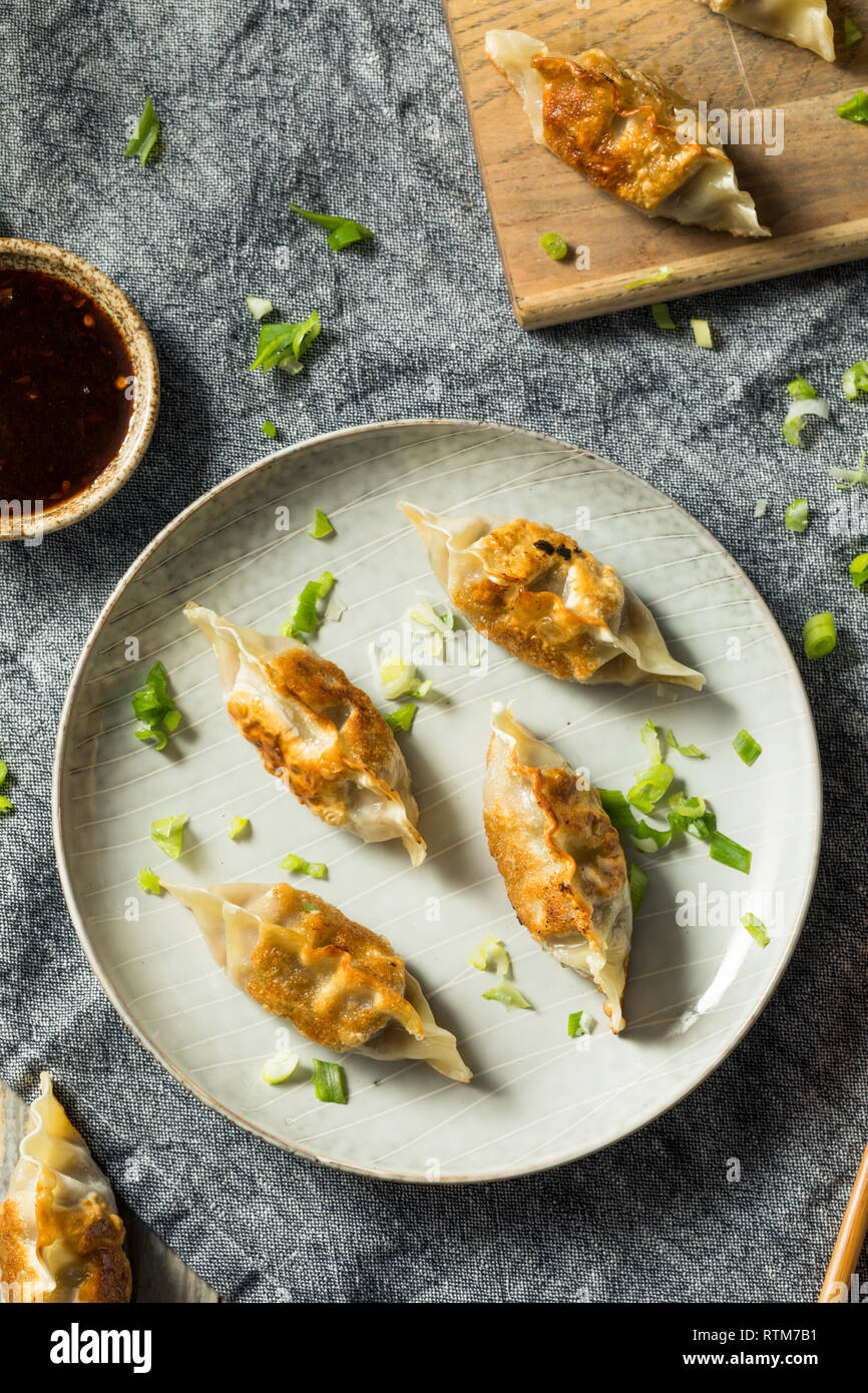 Homemade Korean Mandu Pork Dumplings Ready to Eat Stock Photo Alamy