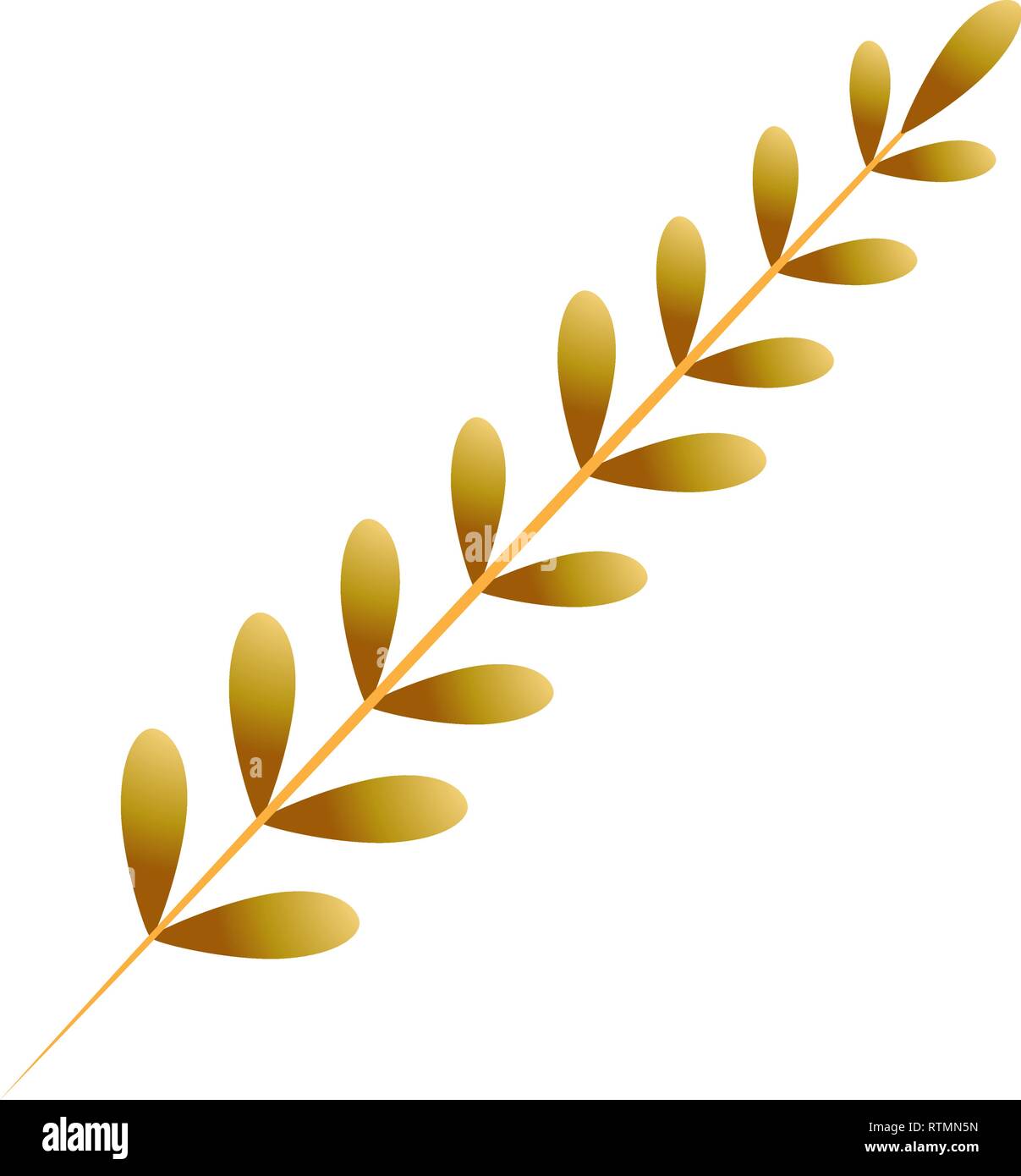 Laurel Leaves Border High Resolution Stock Photography and Images - Alamy