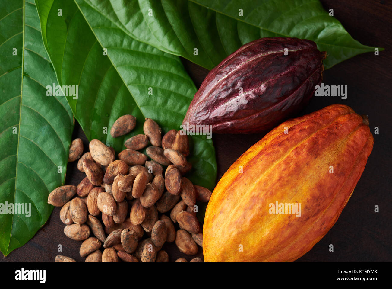 Raw sweet chocolate background. Seeds and cocoa plant theme Stock Photo -  Alamy