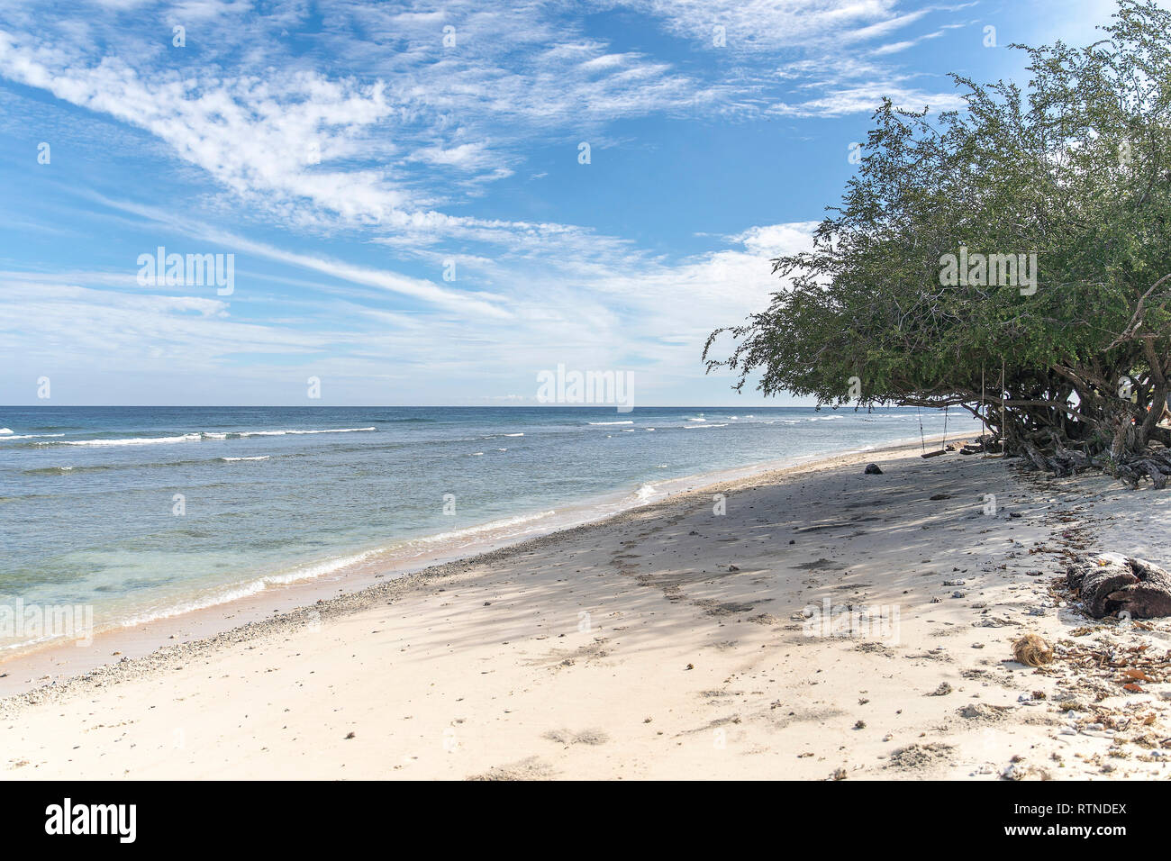 Tropical trees on the coast of Gili Trawangan in Indonesia. Stock Photo