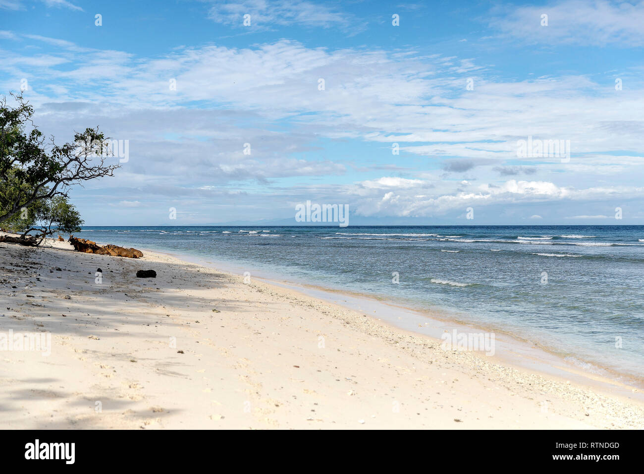 Tropical trees on the coast of Gili Trawangan in Indonesia. Stock Photo