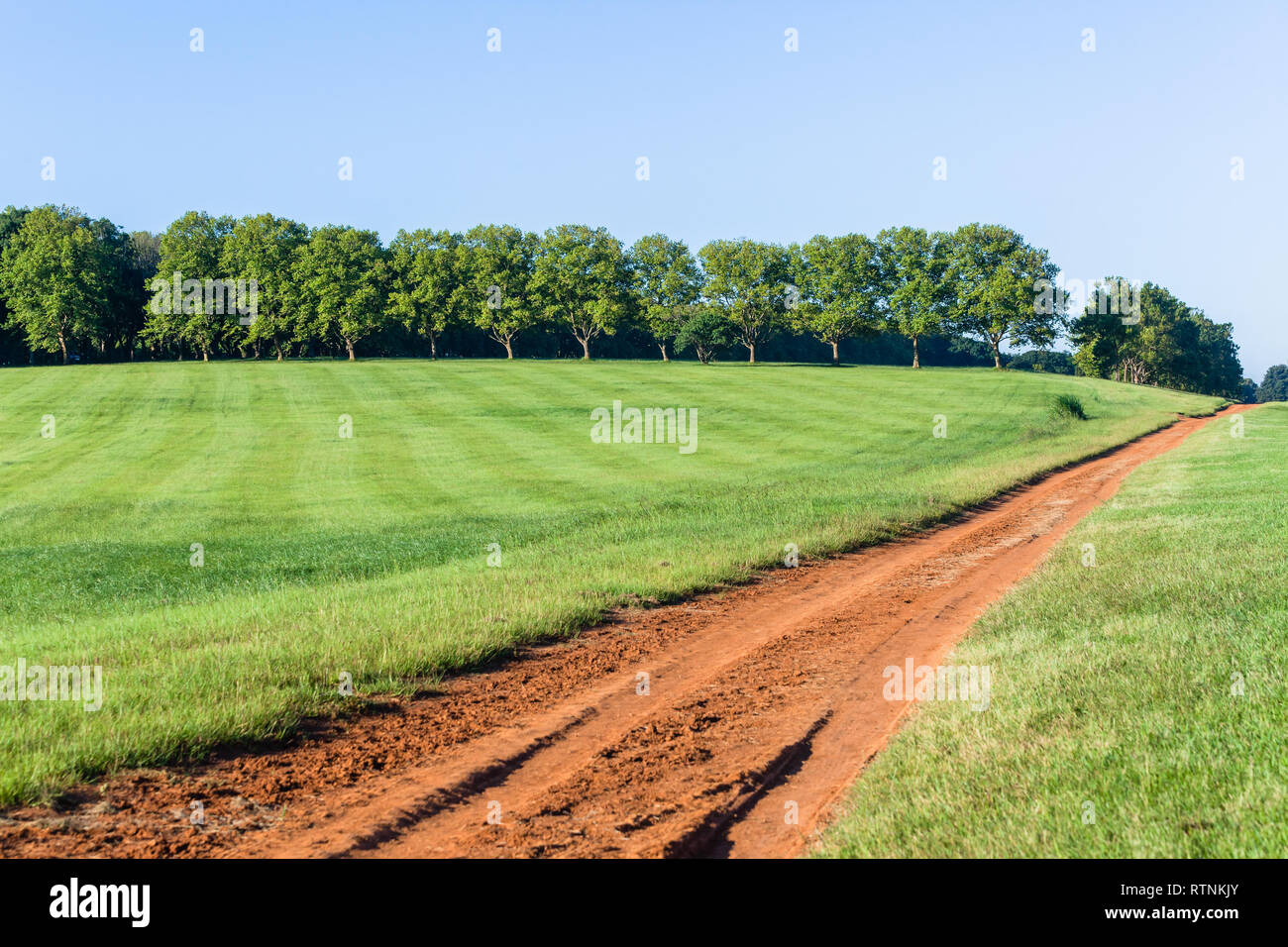 Green grass hillside with dirt road track towards distant trees a scenic countryside  summer  landscape. Stock Photo