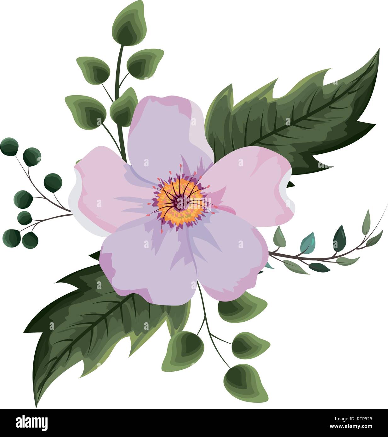 Beautiful flower drawing Stock Vector Image & Art - Alamy