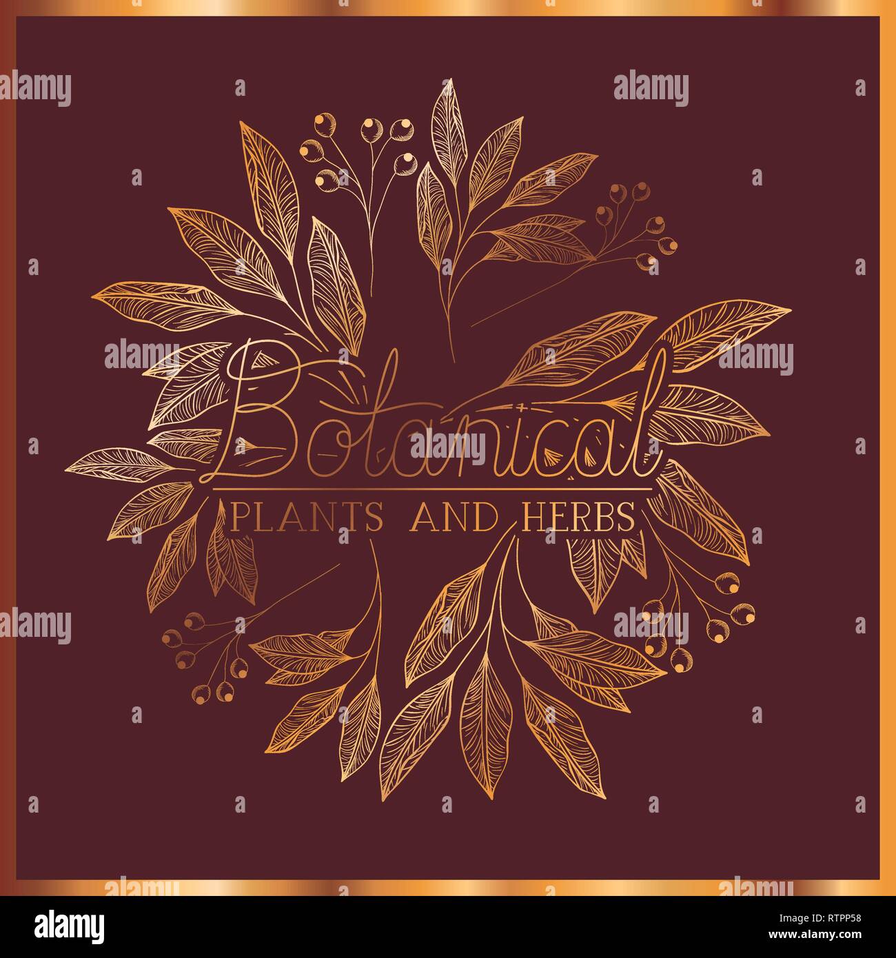 botanical label with plants and herbs Stock Vector Image & Art - Alamy
