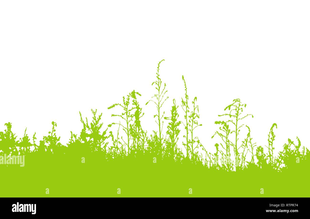 Green grass silhouette isolated on white background vector Stock Vector ...