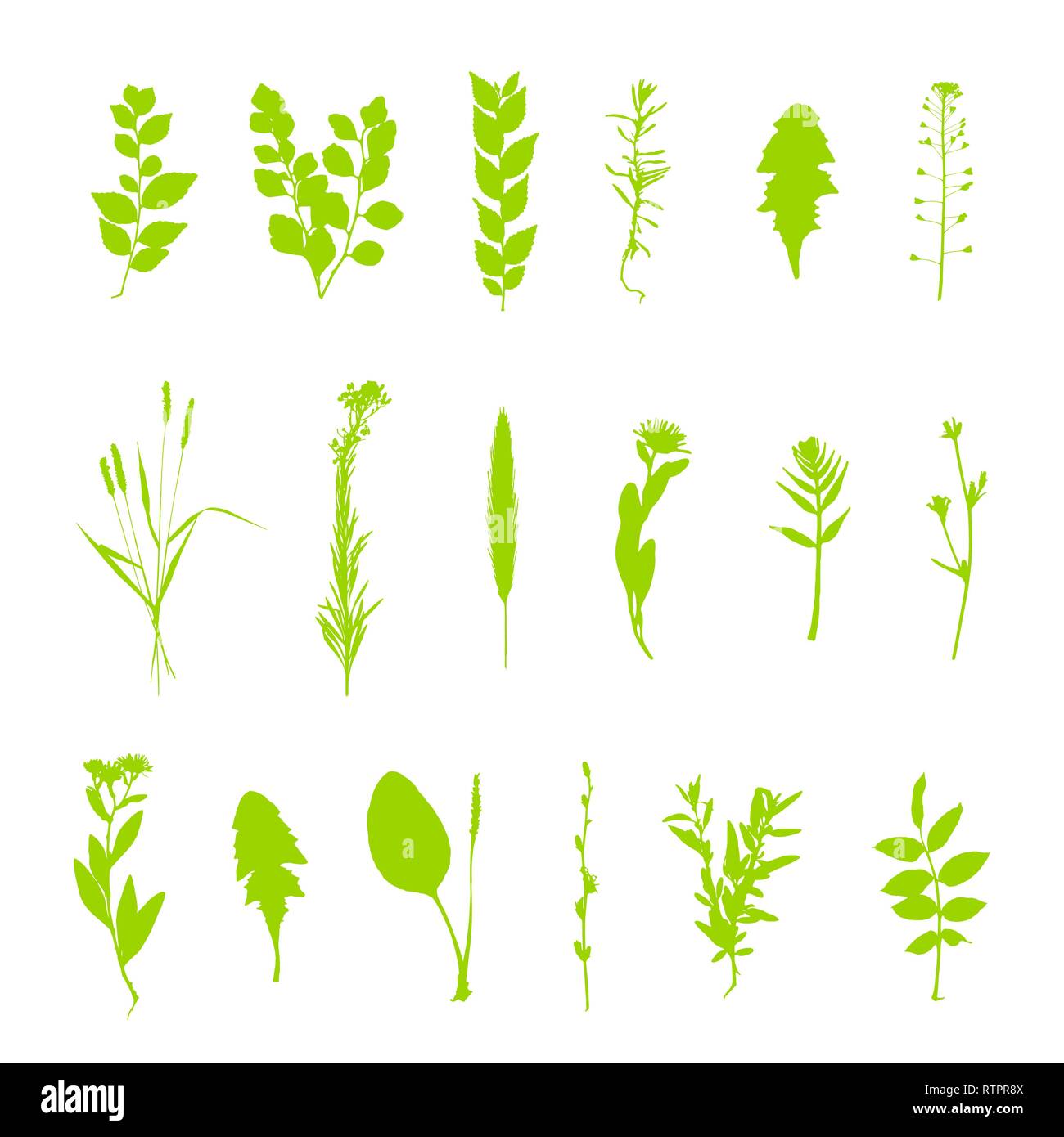Green plants silhouette set isolated on white background vector Stock Vector