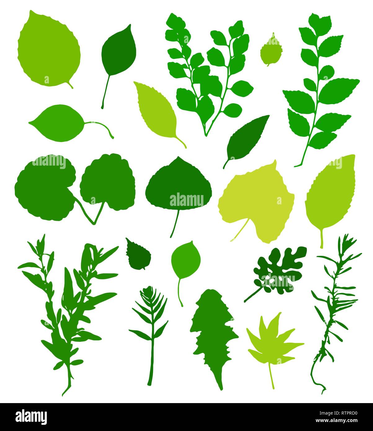 Green leaves silhouettes set isolated on white background. Vector illustration Stock Vector