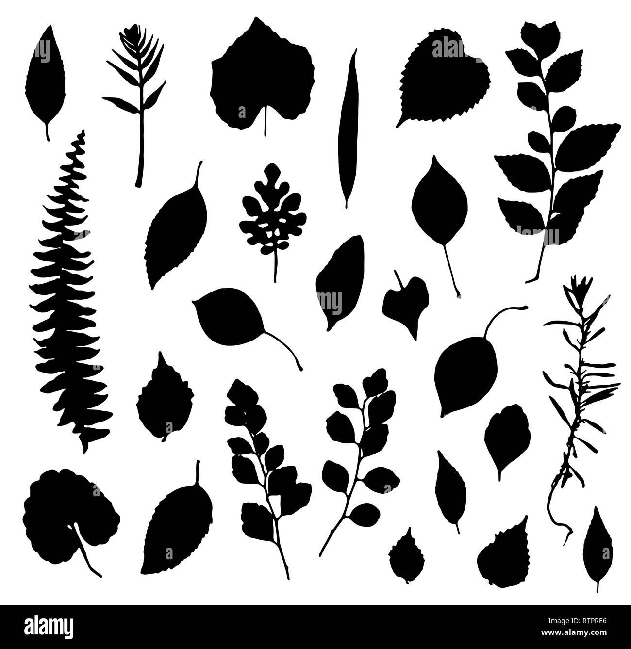 Leaves silhouettes set isolated on white background. Vector