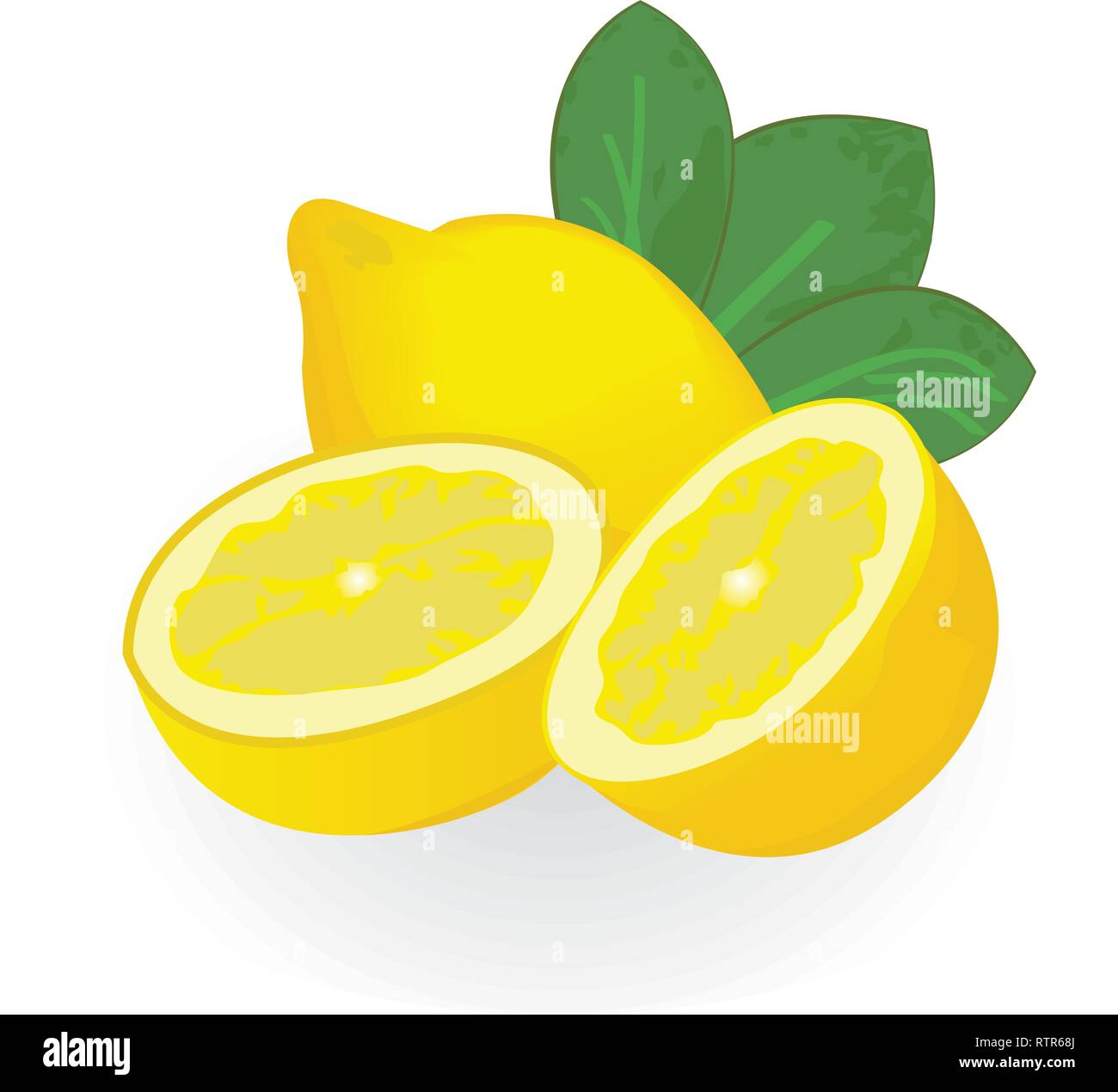Lemons isolated on a white background vector illustration Stock Vector ...