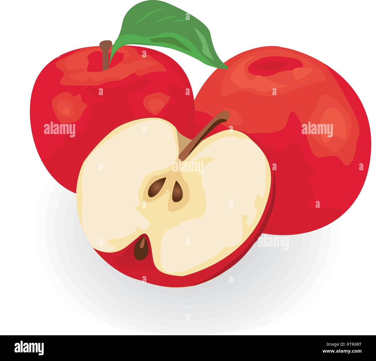 Red apples vector illustration on a white background isolated Stock ...