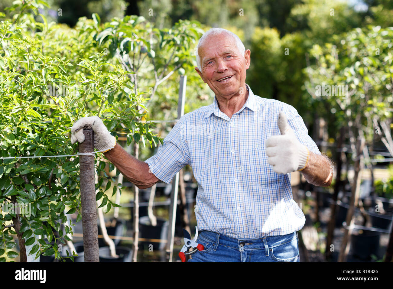 Happy older man gardening hi-res stock photography and images - Alamy
