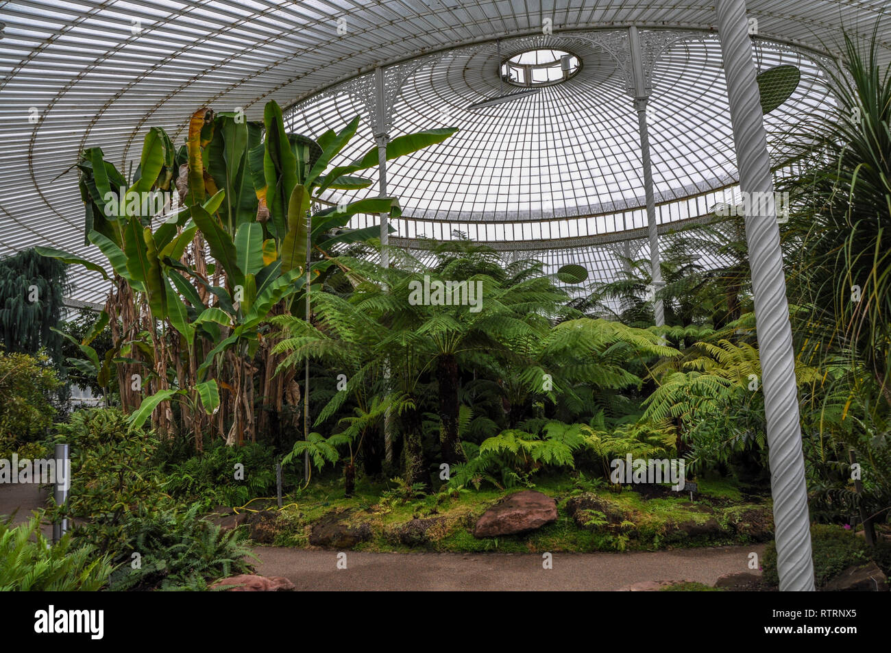 Palm house made of glass and steal with palms and exotic plants in