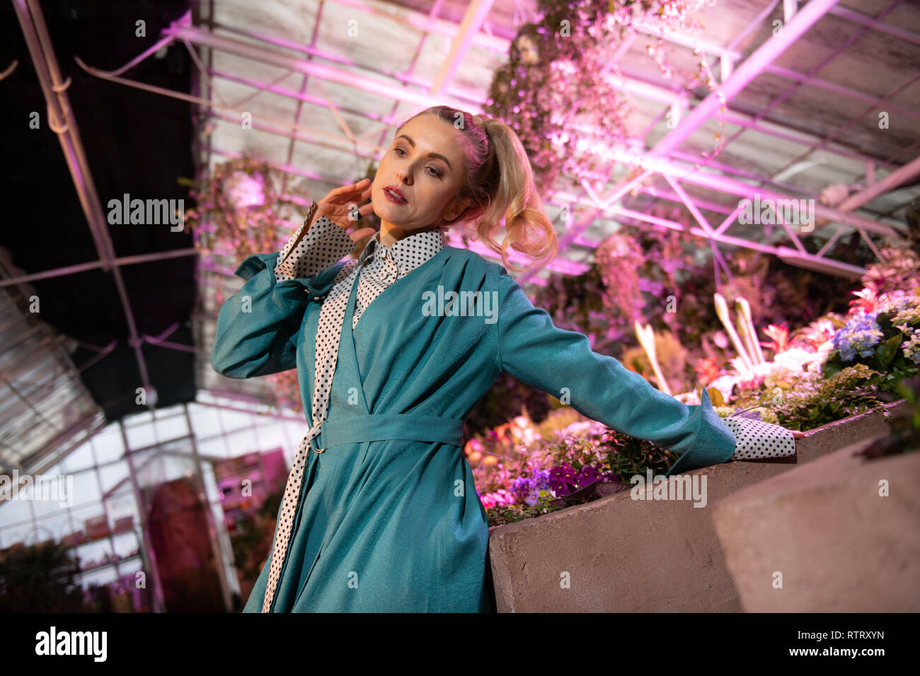 Attractive dreamy young woman touching her neck Stock Photo - Alamy