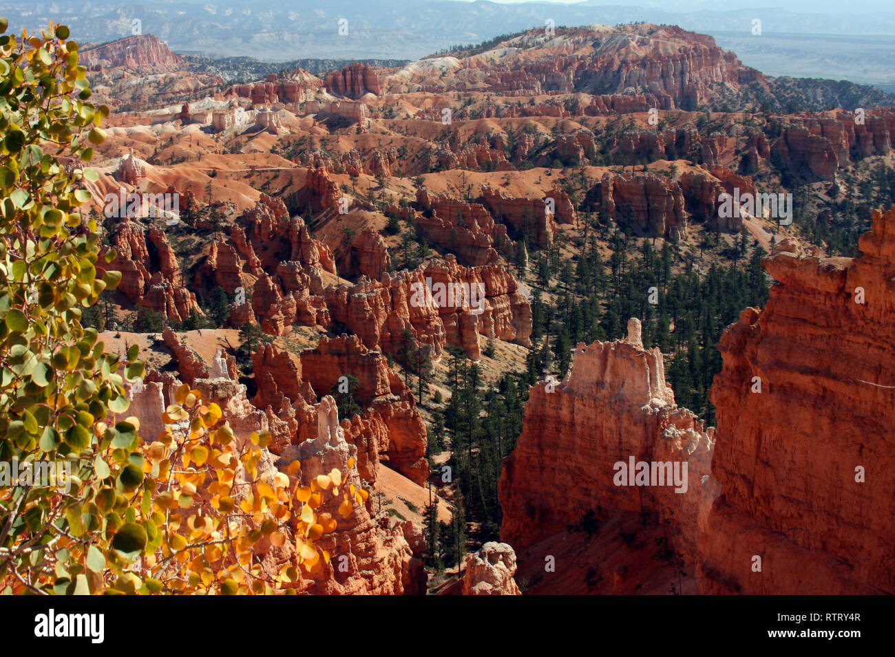 Variations of rocks and cliffs in Bryce Canyon National Park Utah Stock Photo