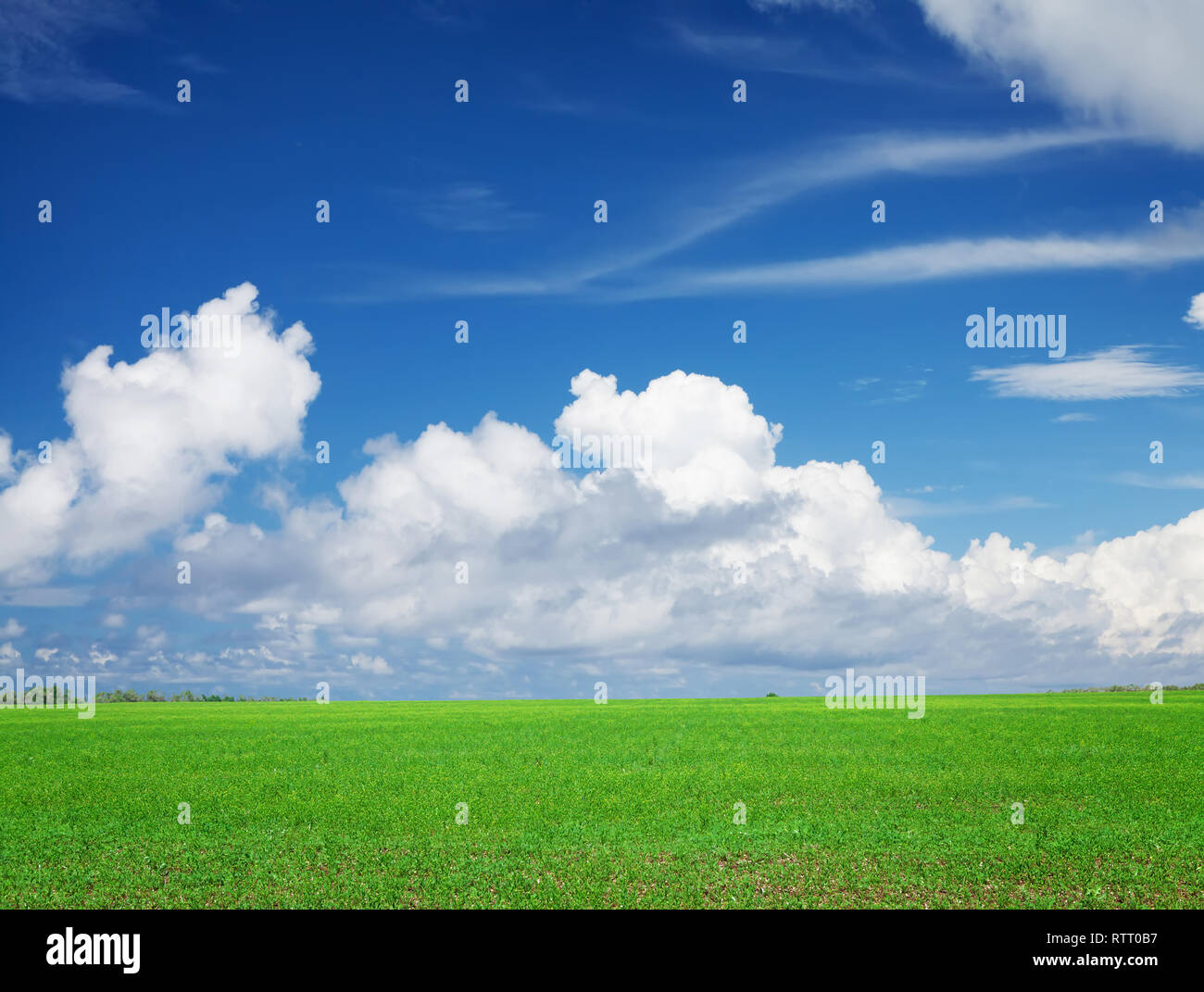 Green grass field and blue sky background Stock Photo - Alamy