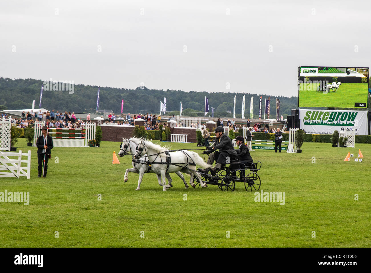 Harrogate Races Harrogate, North Yorkshire, UK - July 12th, 2018: scurry racing in the ...
