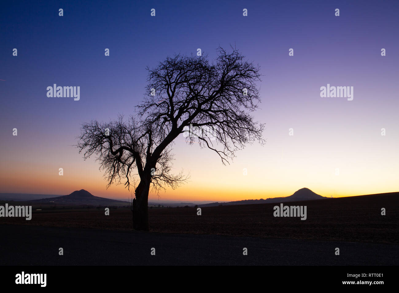 Summer landscapes lonely tree hi-res stock photography and images - Alamy