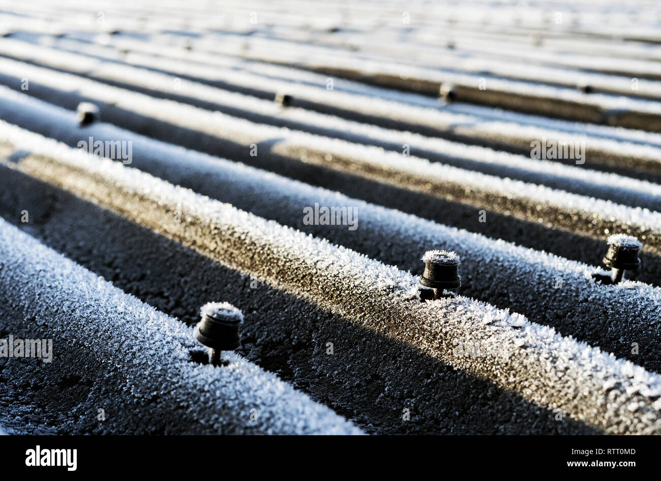 Roof nails popping through the plates they need to be replaced Stock