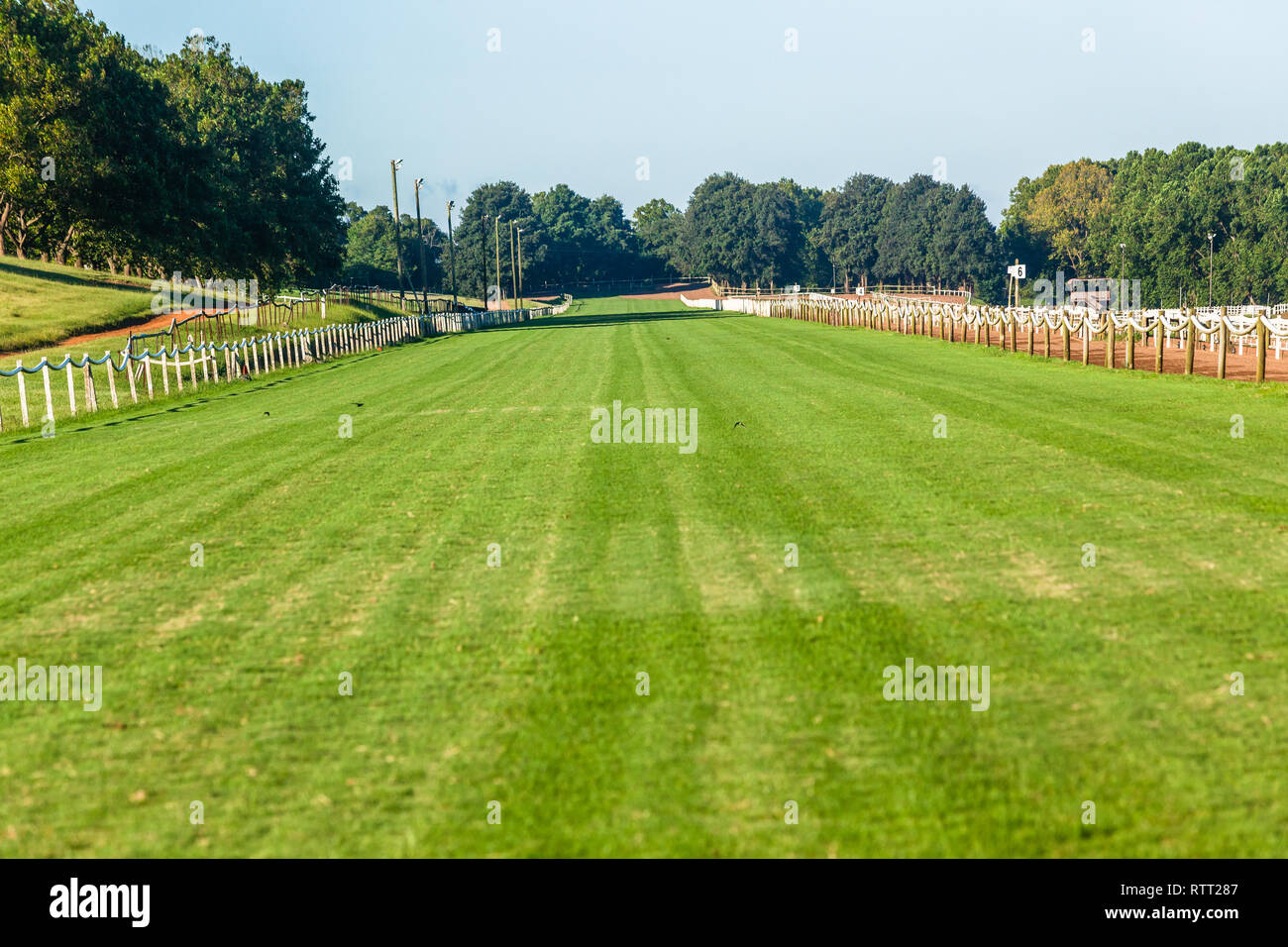 Horse race grass training  track railing fence blue sky equestrian countryside landscape. Stock Photo
