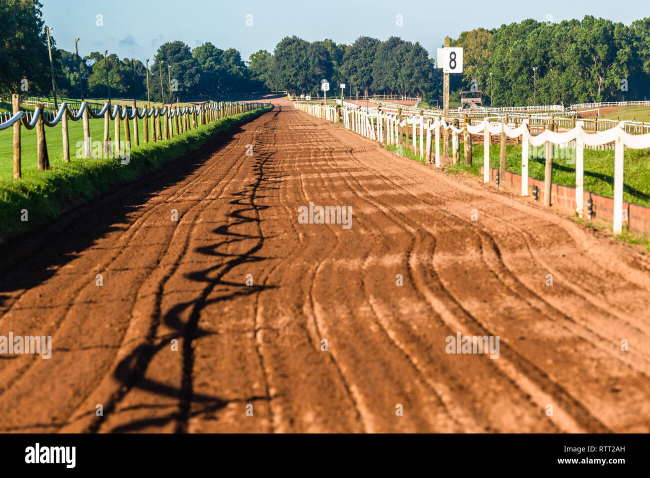 Horse race sand training track railing fence blue sky equestrian