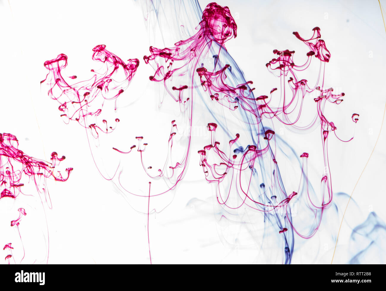 Acrylic colors and ink in water. Abstract background Stock Photo Alamy