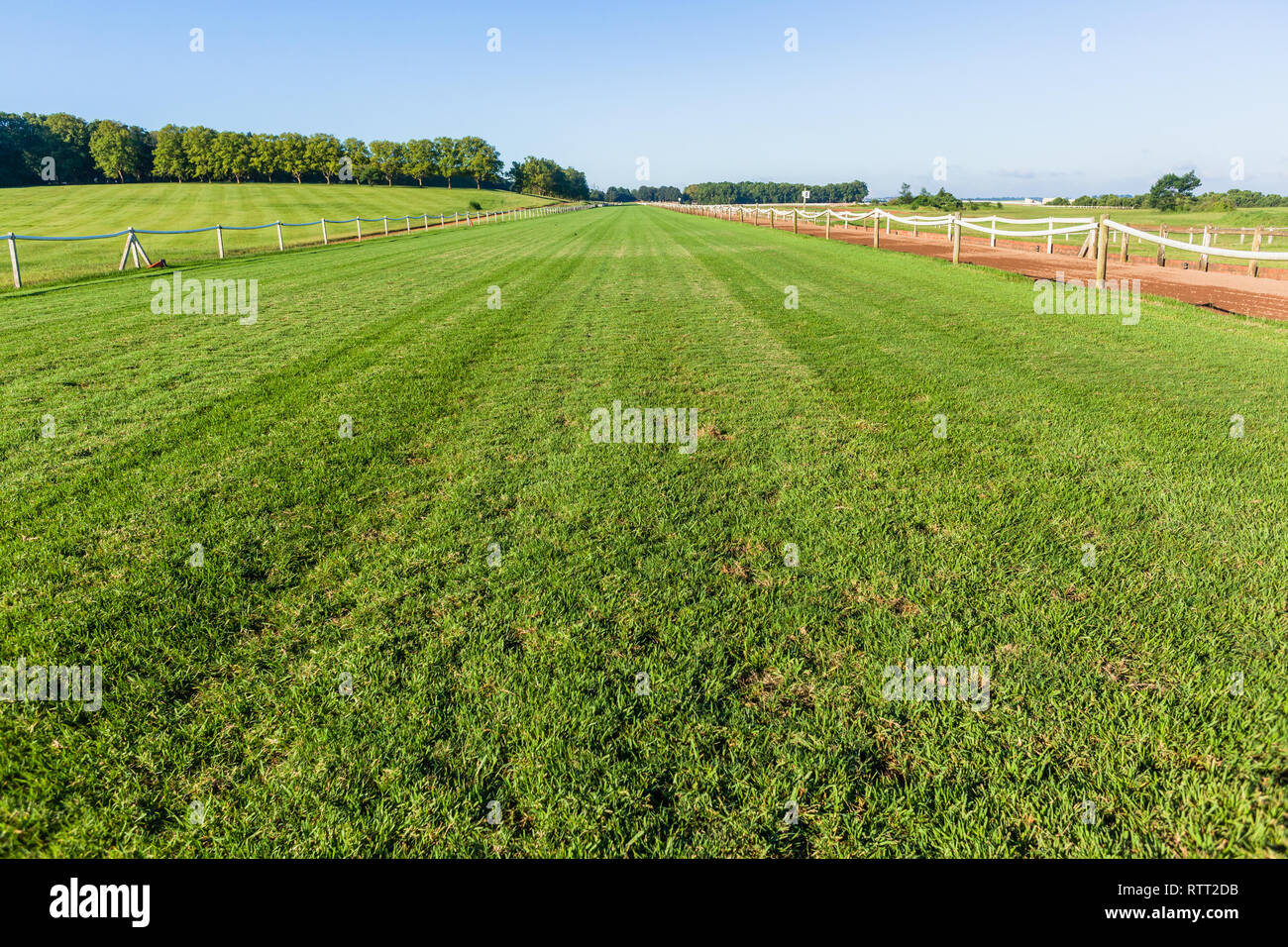 Horse race grass training track railing fence blue sky equestrian