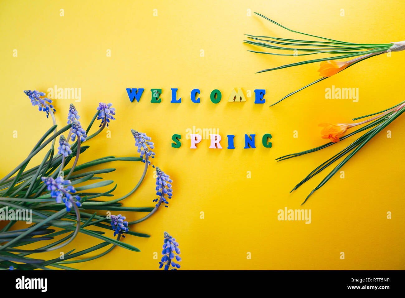 Welcome spring. Yellow background with text and spring flowers Stock ...