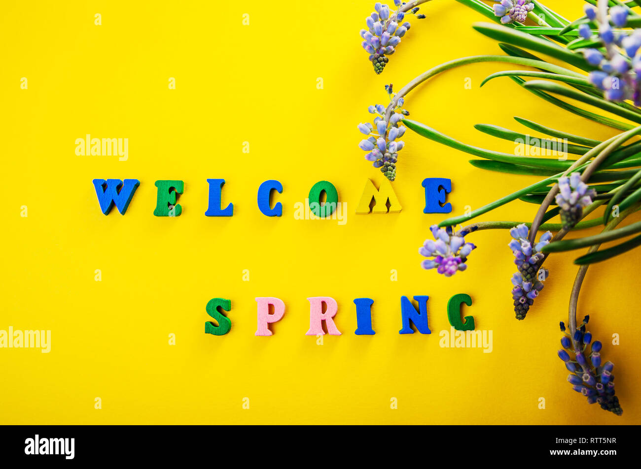 Welcome spring. Yellow background with text and spring flowers Stock ...
