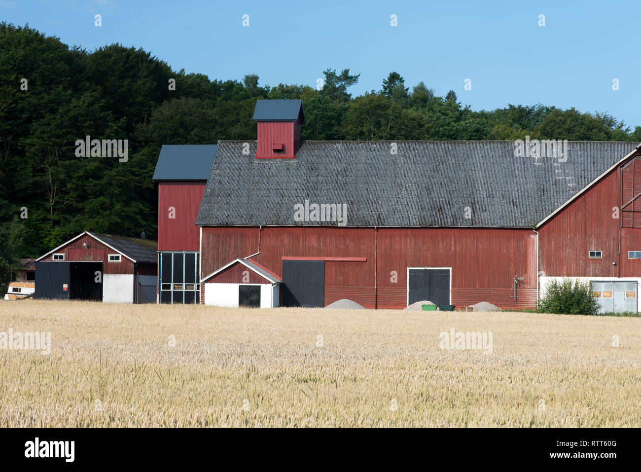Scandinavian, Northern Europe, country, European Union, peoples, prehistoric, agricultural, forested, constitutional,  monarchy, parliamentary, democr Stock Photo