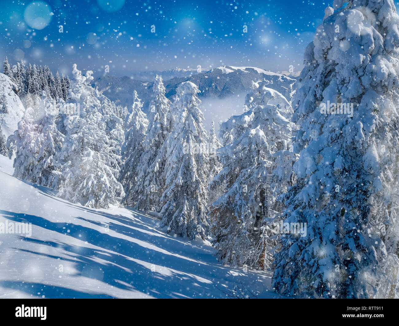 Beautiful winter landscape in the mountains. Christmas blurred ...