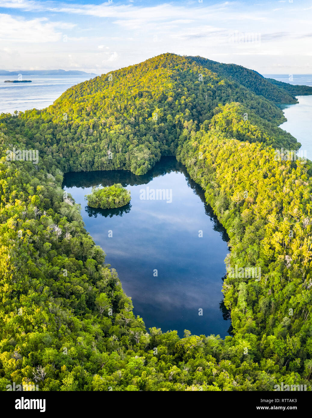 A forest-covered limestone island surrounds a marine lake, Raja Ampat Islands, West Papua, Indonesia, Pacific Ocean Stock Photo