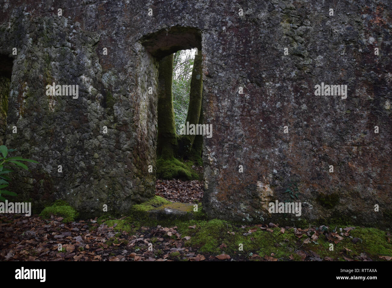 The ruins of Tivoli Park Lerryn Cornwall Stock Photo