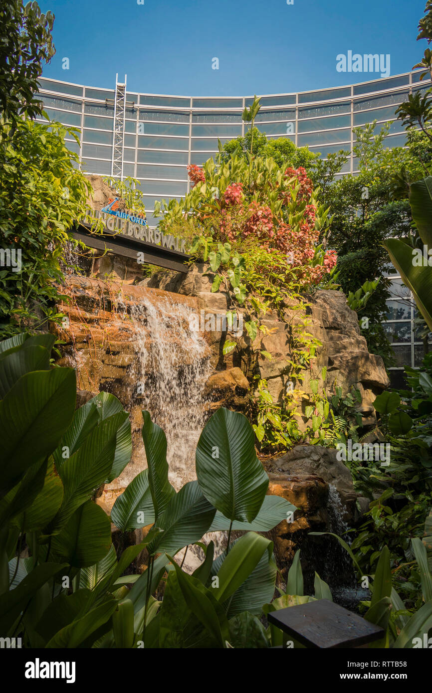 outdoor jungle in the middle of KLIA terminal at Kuala Lumpur airport