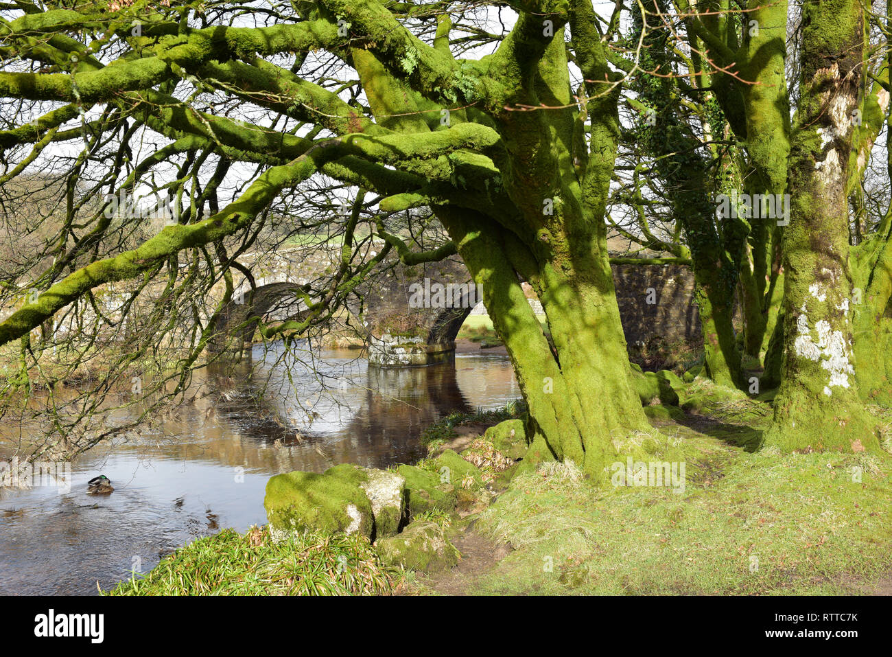 Dartmoor National Park Two Bridges Area Stock Photo