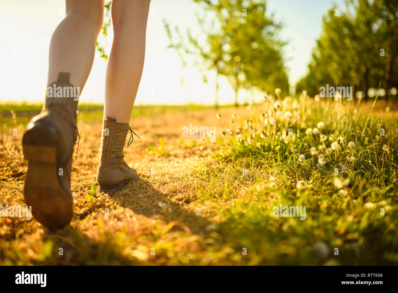 View on legs and shoes of walking girl in the green orchard by the path, during sunny day. Stock Photo