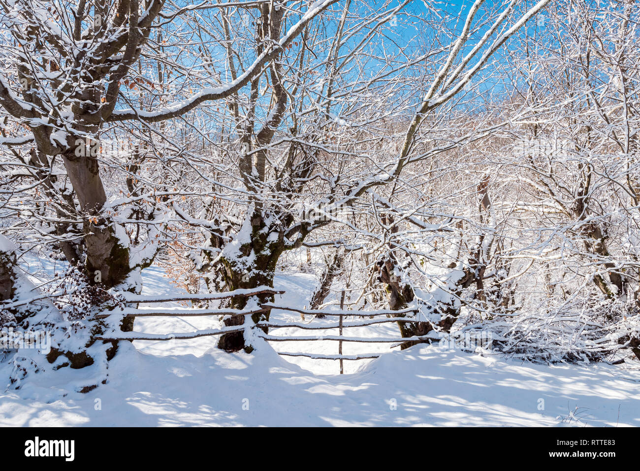 Wooden fence in snow covered winter garden Stock Photo - Alamy