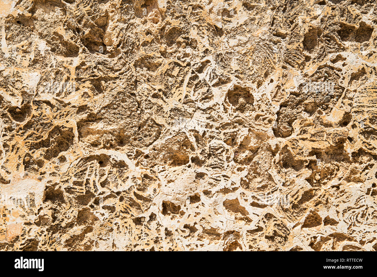 Rustic stone surface texture Stock Photo