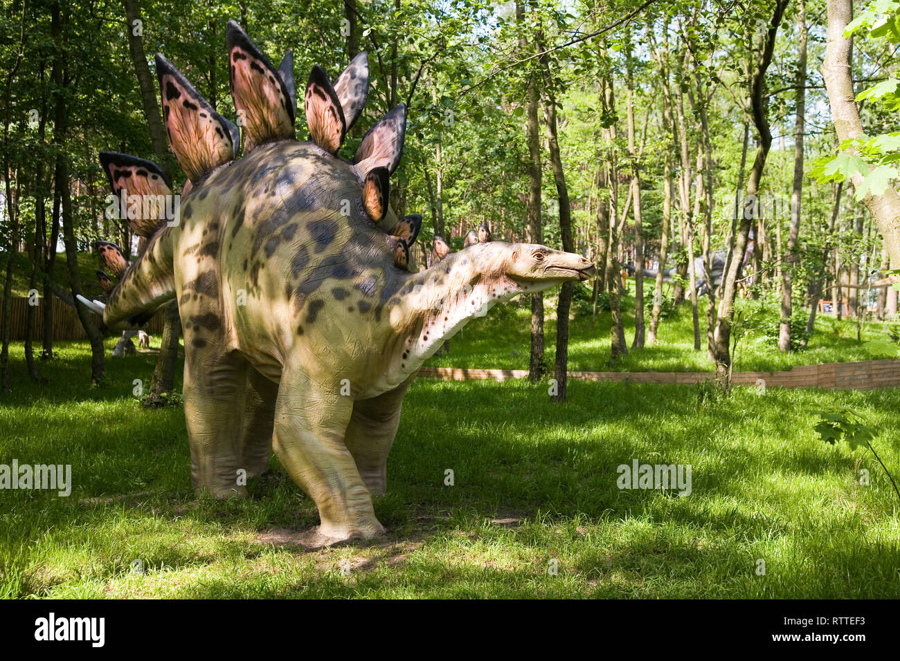 Jurassic park - set of dinosaurs - Stegosaurus armatus Stock Photo