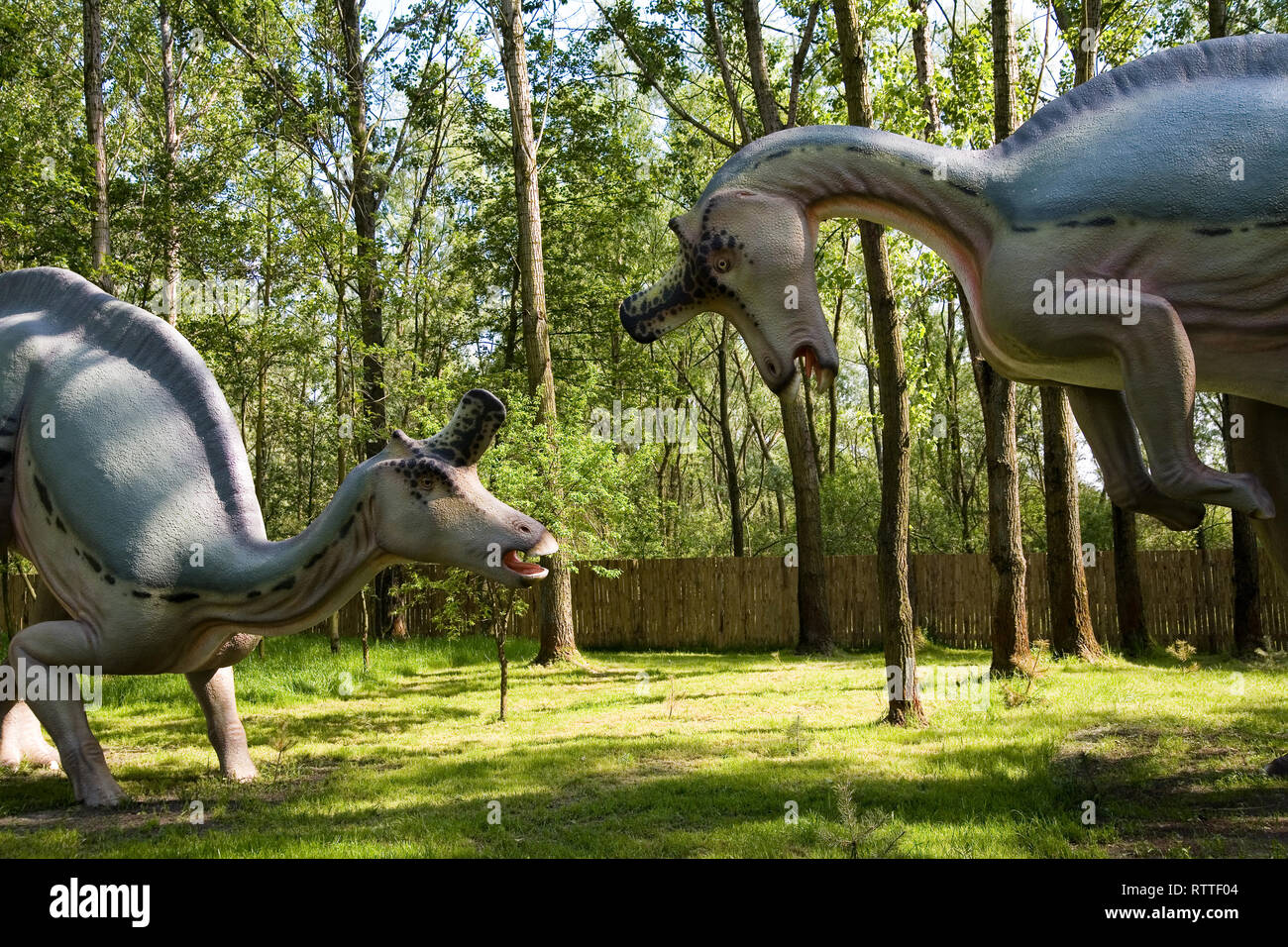 Jurassic park - set of dinosaurs - Lambeosaurus lambei Stock Photo - Alamy