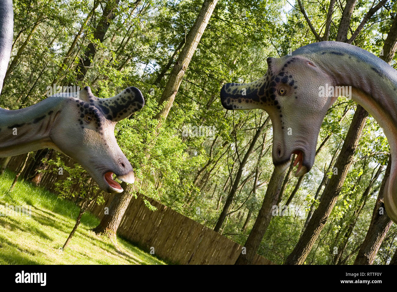 Lambeosaurus lambei hires stock photography and images Alamy