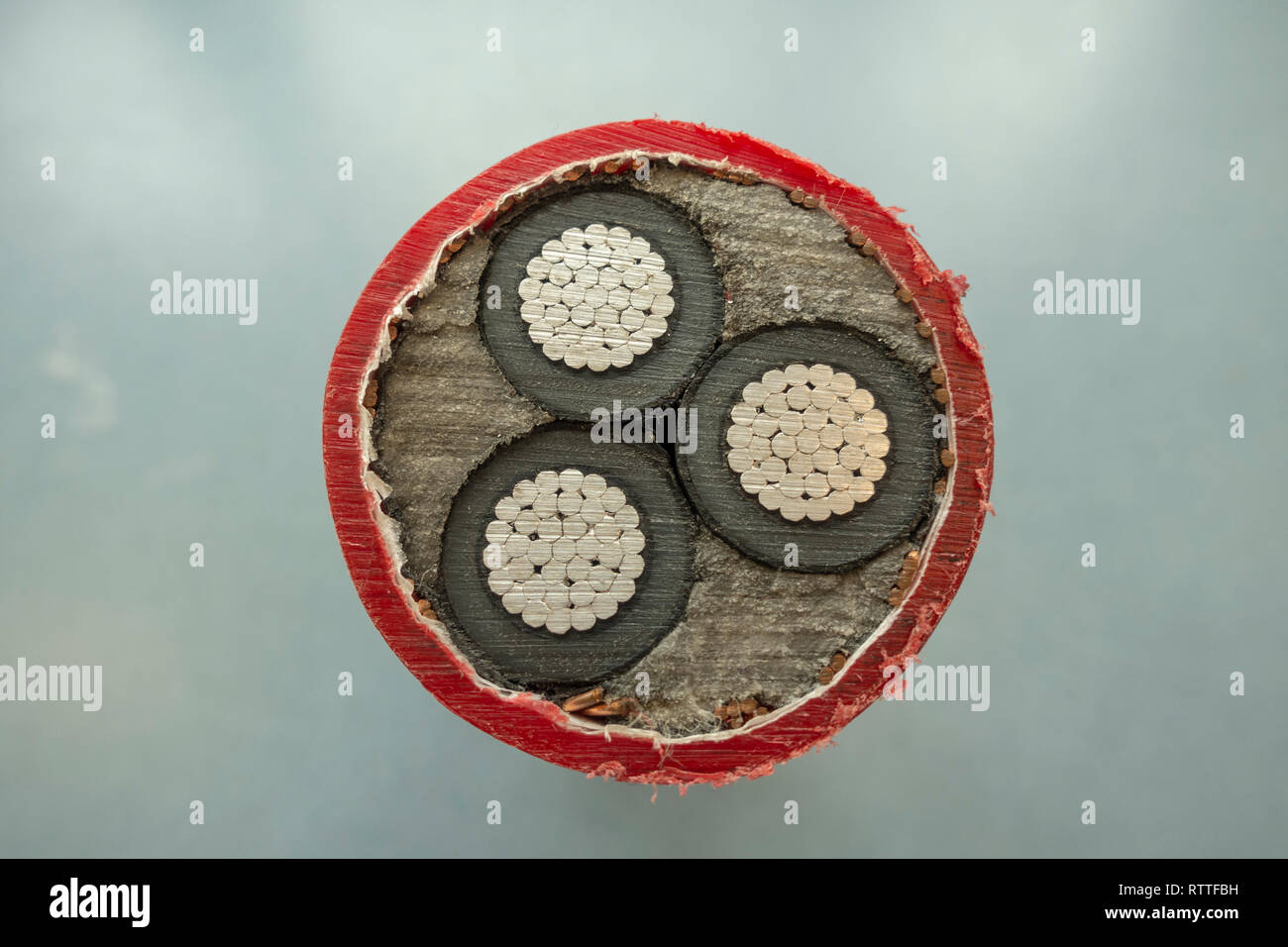 Cross section of an XLPE medium voltage power cable as used in the UK power distribution network in the UK. Stock Photo