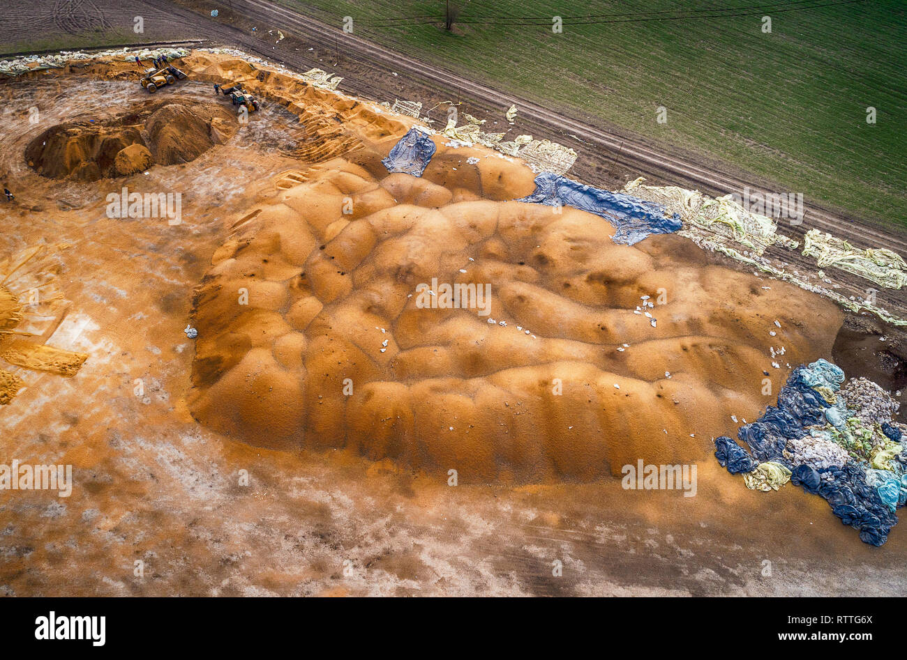 Grain gathered from truck into a silo for processing Stock Photo Alamy