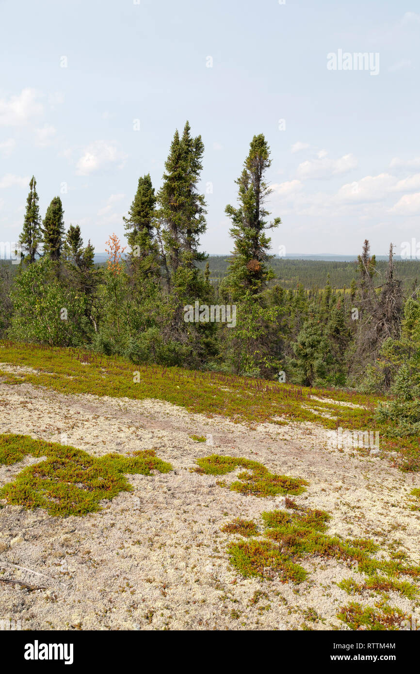 An esker in Manitoba, Canada. Forest can be seen from the sandy ridge, formed by subgalcial deposits during the last Ice Age. Stock Photo