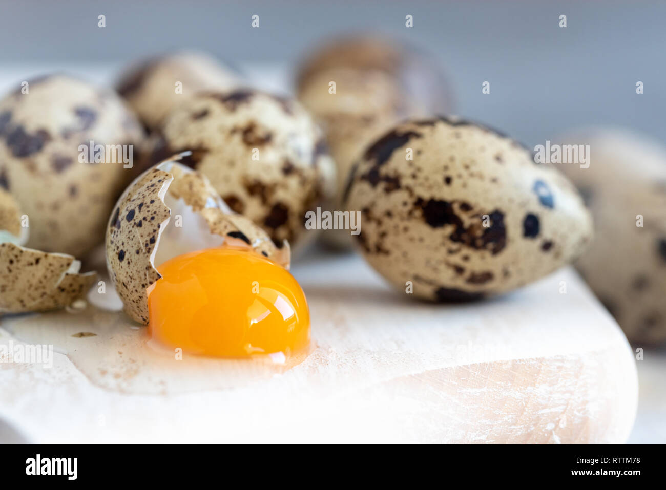 Fresh organic quail eggs, a delicacy in many parts of the world Stock