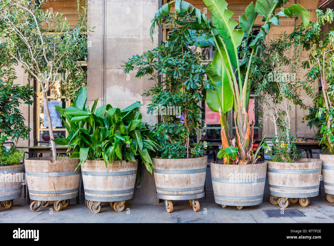 Plant Pots on Square in Downtown Area of Barcelona Spain Stock Photo